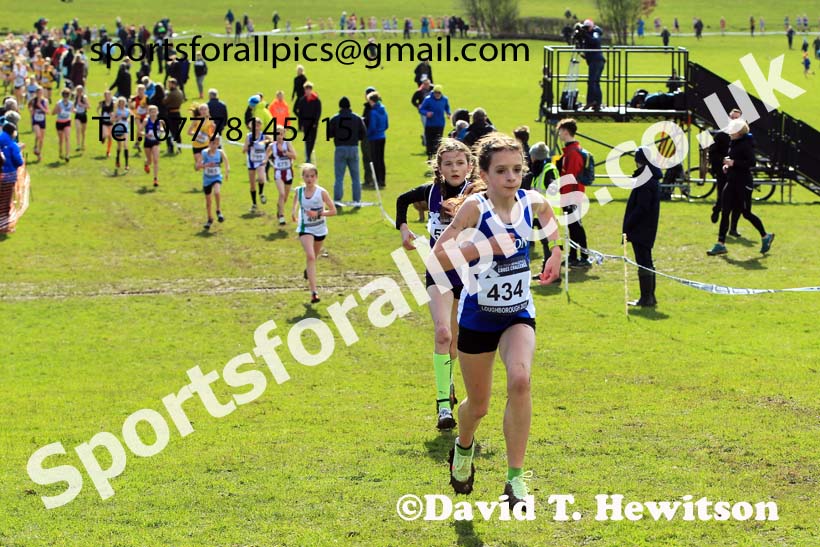Girls Under-13s 2022 CAU Inter Counties Cross Country, Prestwold Hall, Loughborough.  Photo: David T. Hewitson/Sports for All Pics